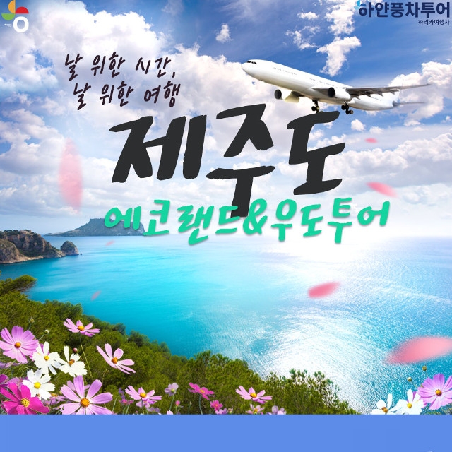 [하얀풍차투어] 제주도 에어카텔 2박 3일 | 홈쇼핑모아 [하얀풍차투어] 제주도 에어카텔 2박 3일 - 홈쇼핑모아~가장 정확한 방송 편성표