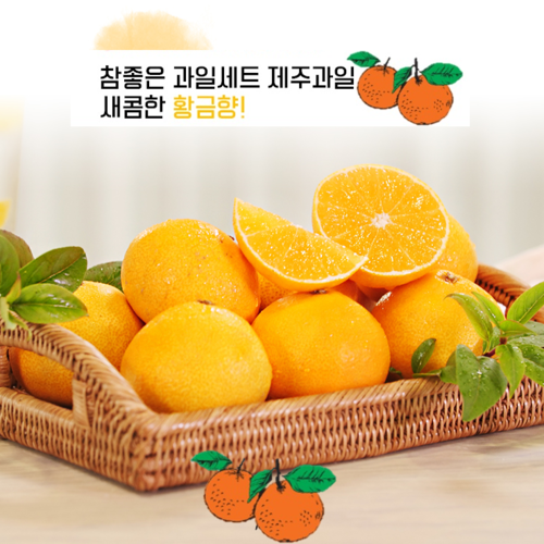 [참좋은과일세트] 참좋은 햇 황금향 1.5kg 3박스 | 홈쇼핑모아 [SK스토아] [참좋은과일세트] 참좋은 햇 황금향 1.5kg 3박스