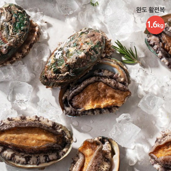 [T.완도 활전복 프리미엄] 다시마전복수산 20미(총 1.6kg ,1미당 80_100g) | 홈쇼핑모아 [롯데OneTV] [T.완도 활전복 프리미엄]... 