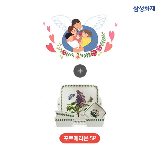 지노셀 이미지