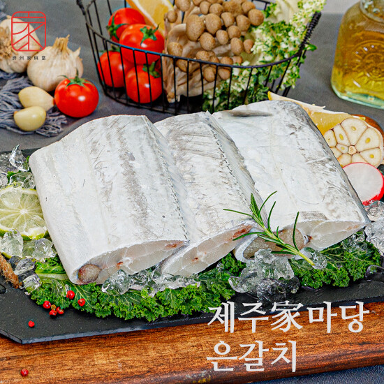 [제주家마당] 대왕특대 은갈치 선물세트 500g 3미 3