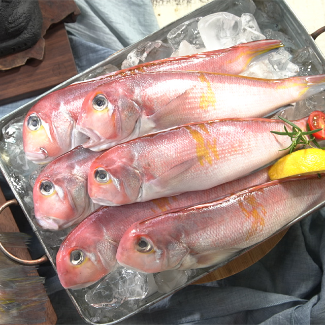 제주산 옥돔 150g x 8마리 총 1.2kg 이상