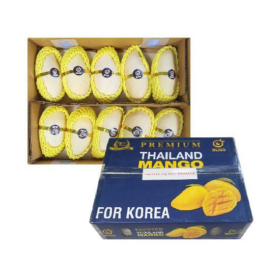 항공직송 남독마이 생 망고 3kg내외(6-10과) 2