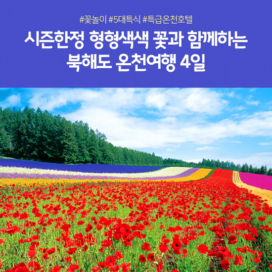 풍경 북해도 4일 12485991 | 홈쇼핑모아 [kshop] [노랑풍선] 여행하기 좋은 계절 꽃밭 가득 수채화 풍경 북해도 4일 12485991