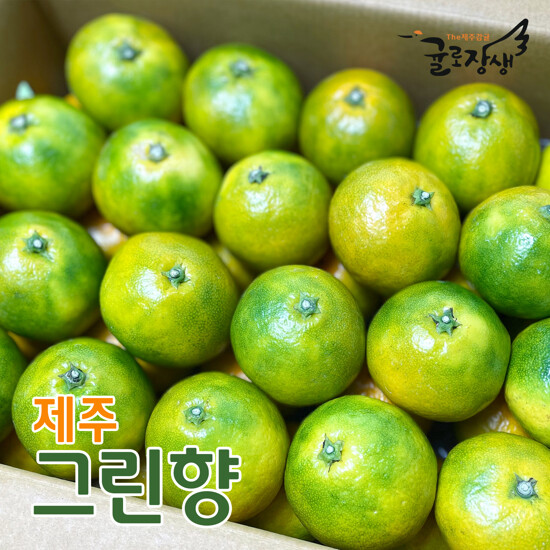 [농할] 국내산 26년 제주 햇 그린향 3kg 3