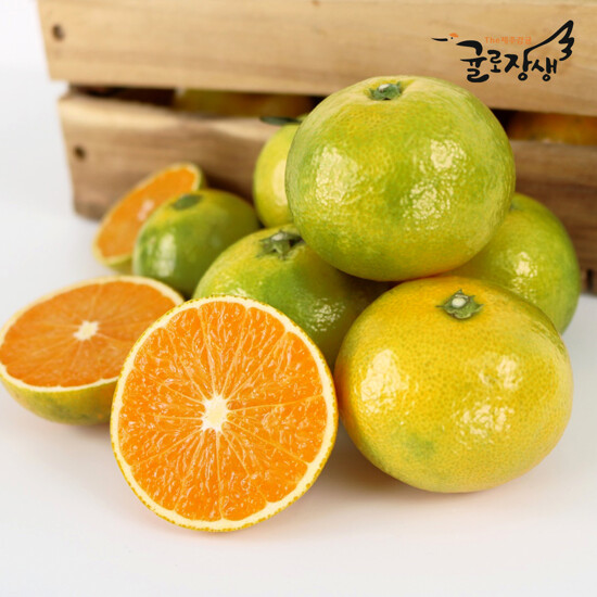 [농할] 국내산 26년 제주 햇 그린향 3kg 4