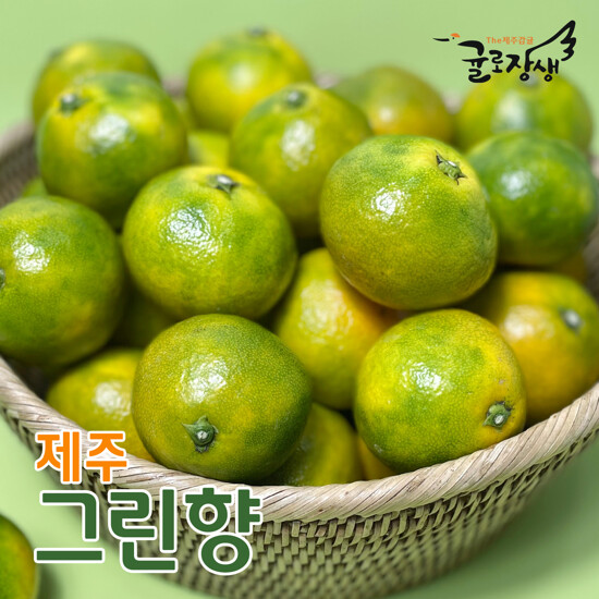 [농할] 국내산 26년 제주 햇 그린향 3kg 2