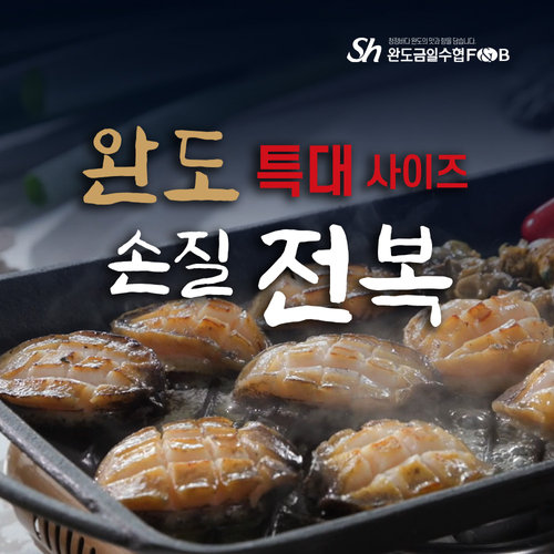 [특대]금일수협 손질 전복 18미+2미
