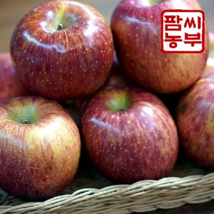 [팜씨농부]정품 사과 5kg(부사_중소과 24~26과)