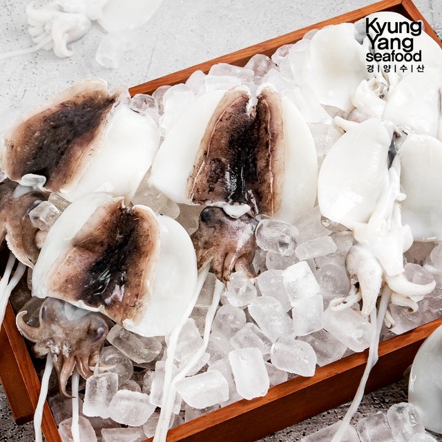 (방송에서만 1팩 더) 국내산 햇 갑오징어 200g x 10팩 (팩당 2~3미 / 총 2kg)