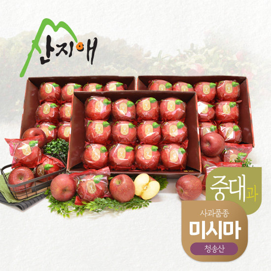 산지애 청송 꿀사과 미시마 9kg (3kg*3박스, 총 27~39과)