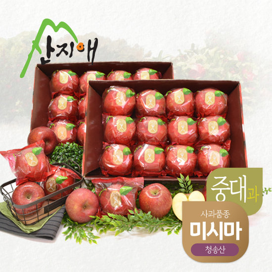 산지애 청송 꿀사과 미시마 6kg (3kg*2박스, 총 18~26과)