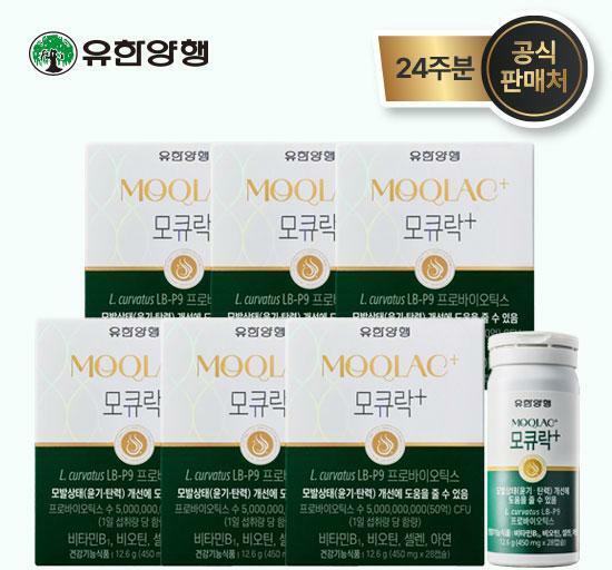 M [24주 패키지] 모큐락+ LB-P9 모발유산균 패키지 4주분*6병 (총 24주분)