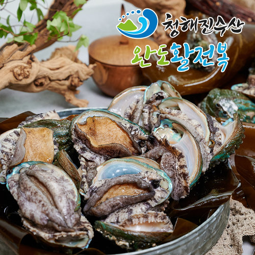 [청해진] 완도활전복 왕특大사이즈 16미 (총 1.6kg 이상)