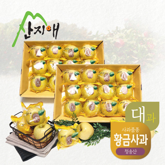 산지애 황금 사과 시나노골드 6kg (3kg*2박스, 총 16~24과)