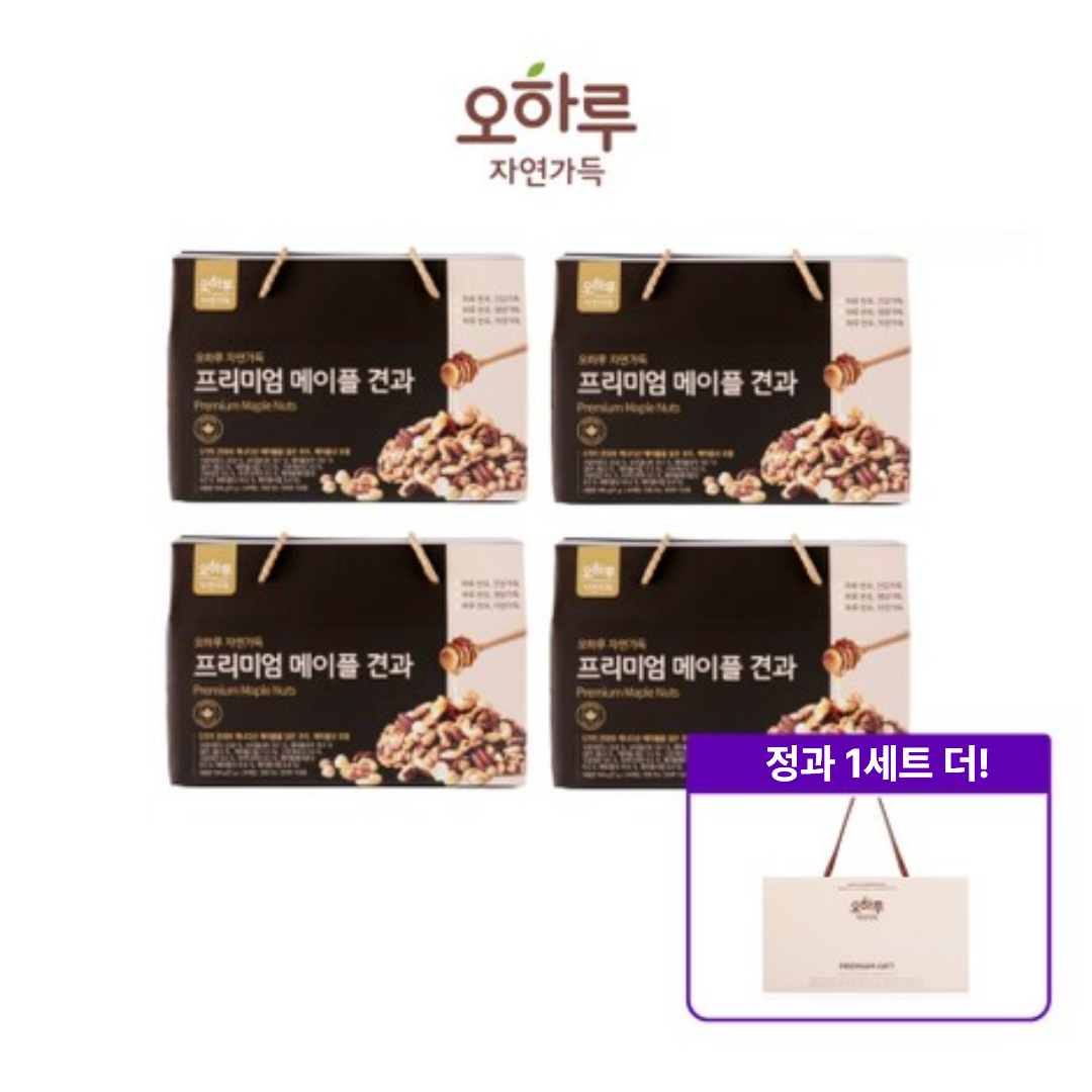 프리미엄 메이플 견과 4박스+정과 1세트 더 [소비기한 ~26.10.16까지]