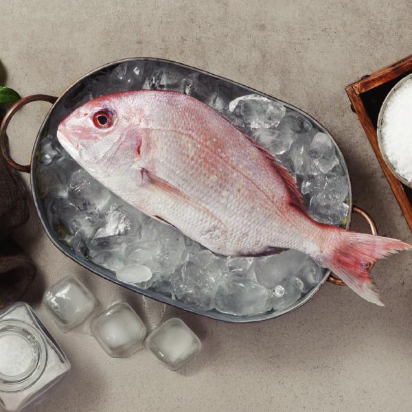 빅마마 이혜정의 진짜 참돔(국내산/반건조) 400g x 8미 3