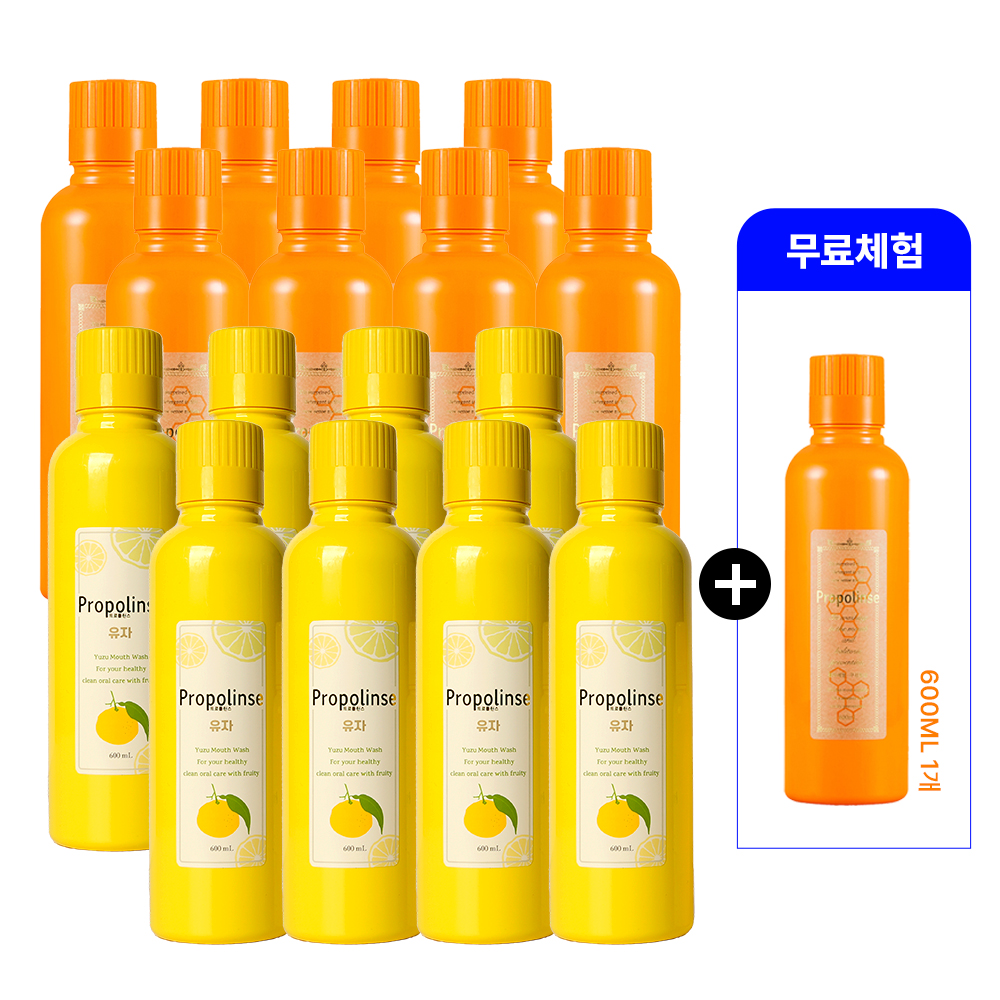 [CJ 1등가글] 매니아패키지 600ml 16병(오리지날8병+유자향8병)+체험찬스 오리지날 600ml 1병