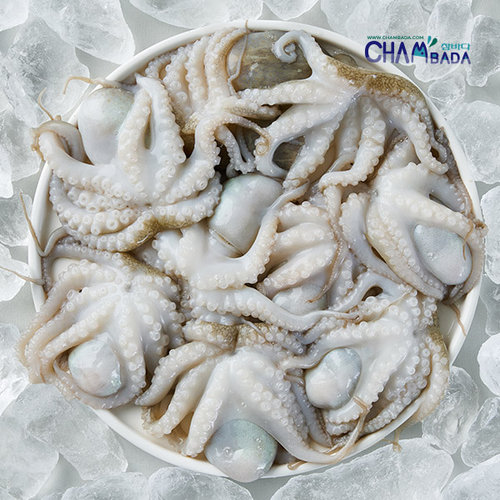 참바다 만능통쭈꾸미 500g 5팩+만능소스 50g 5팩