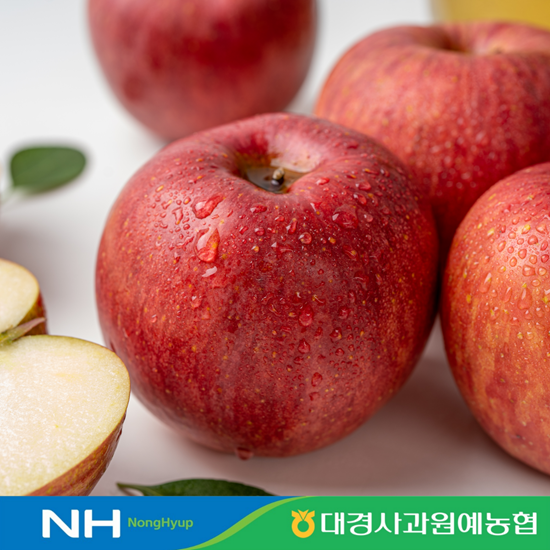 햇살듬뿍 봉화세척사과 2.5kg(10-13과)X2박스_총5kg