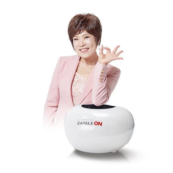 자이글온 네스트 고주파 통증완화 의료기기 렌탈 2