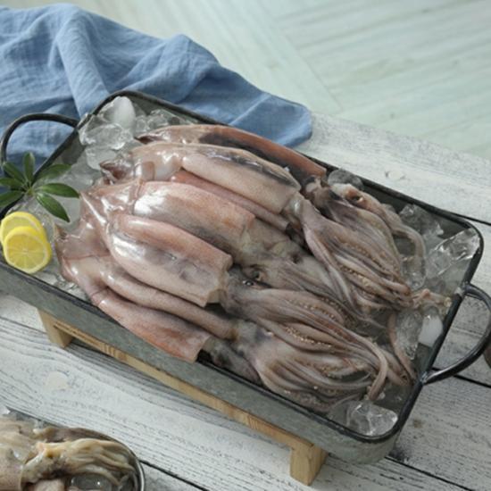 [오숙수] 동해 품은 할복 손질 오징어 14마리 (총 1.82kg) 2