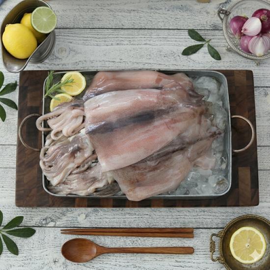 [오숙수] 동해 품은 할복 손질 오징어 14마리 (총 1.82kg)