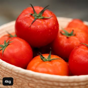 스마트팜 토마토 4kg
