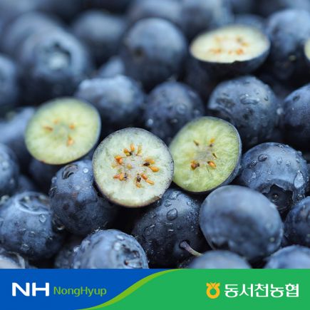 2026년 햇 동서천농협 블루베리 800g (200g*4팩,과당 14mm이상~17mm이하) 2
