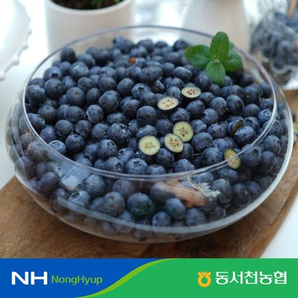 2026년 햇 동서천농협 블루베리 800g (200g*4팩,과당 14mm이상~17mm이하) 3
