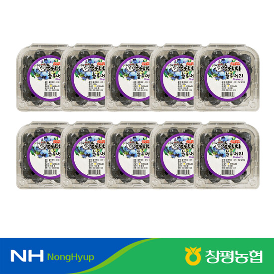 담양창평농협 햇 生블루베리 1kg (100gx10팩)