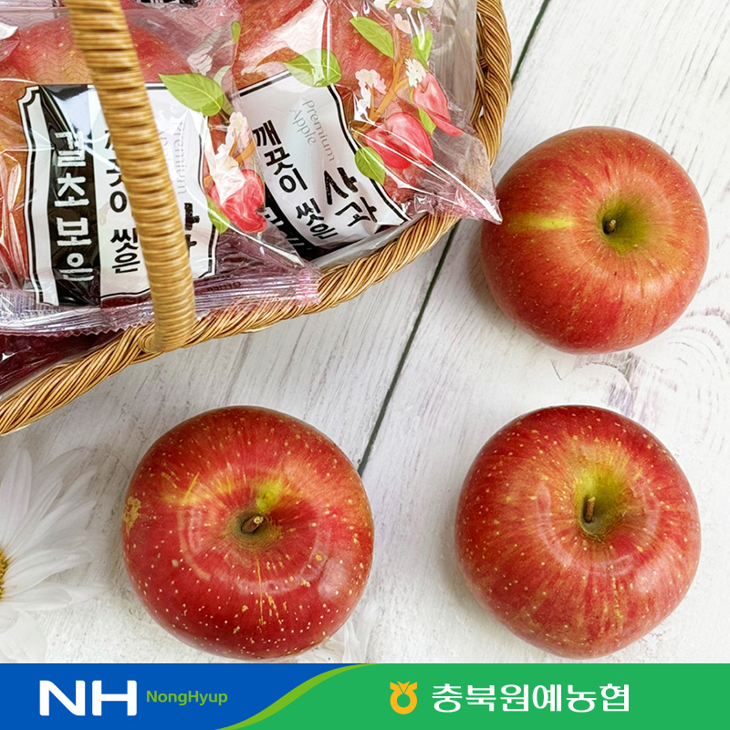 결초보은 깨끗이 씻은 세척사과 5kg[190~300g] 2