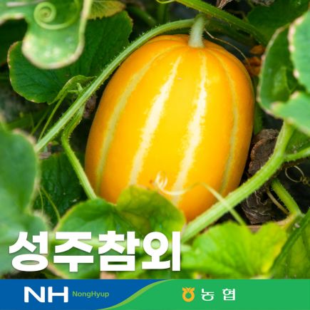 2026 농협 성주참외 10kg(뜨라네) 2