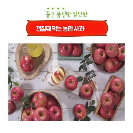 2025 농협 음성 천생연 사과(부사)4.5kg*1박스_개당170~300g/15~27개