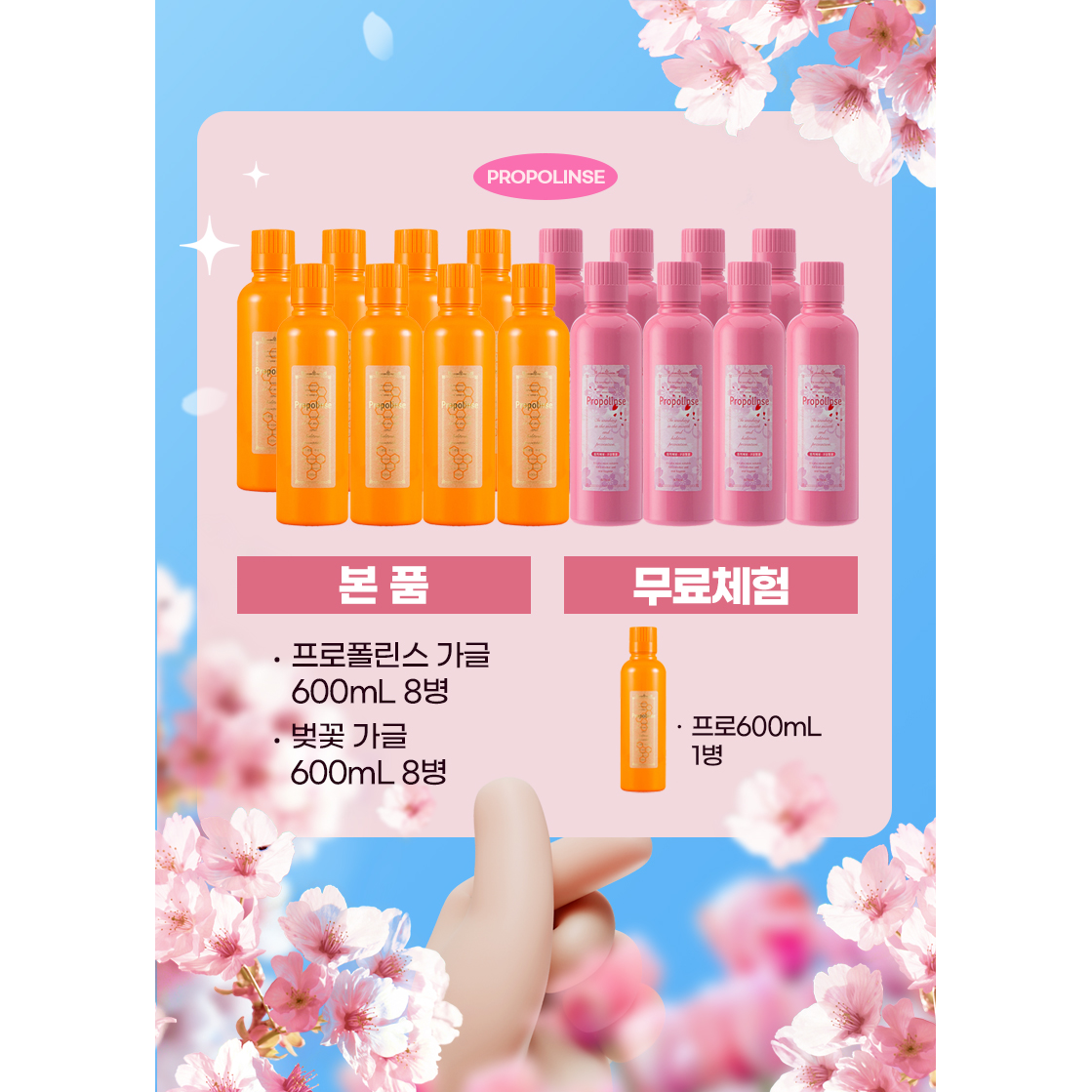 600ml 16병(오리지날8병+벚꽃향8병)+체험찬스1병