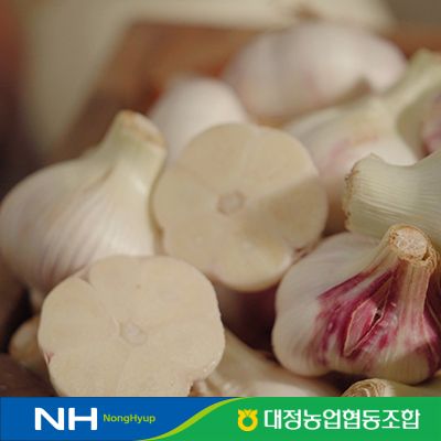 2026 햇 제주 대정암반수마늘 200통(2접) L사이즈, 특등급 3