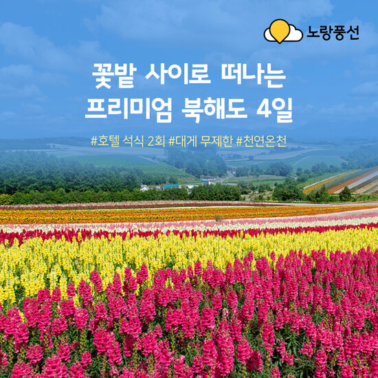 [노랑풍선][NO옵션XNO팁] 프리미엄 북해도 힐링여행 4일