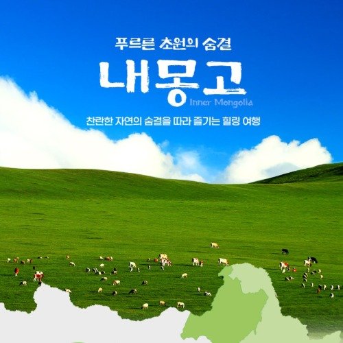 천혜의 땅 내몽골 초원+사막 완전 정복 여행 / 오르도스 직항 내몽골여행 4/5일