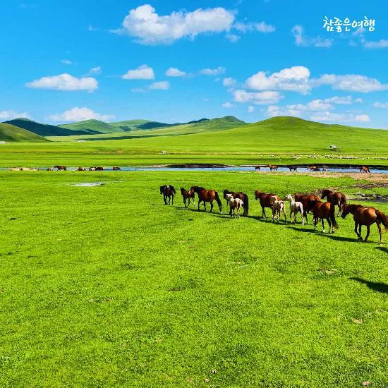 [여행의신세계]참좋은여행 후룬베이얼 직항  내몽골 5/6일 NO선택관광,NO유류할증료! 2