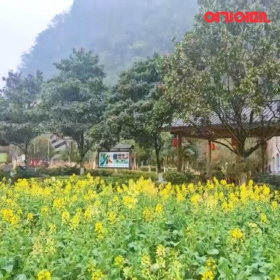 [여행의신세계]여기어때 장가계직항+부용진 4/5/6일 노팁,6대옵션 499천원부터 4