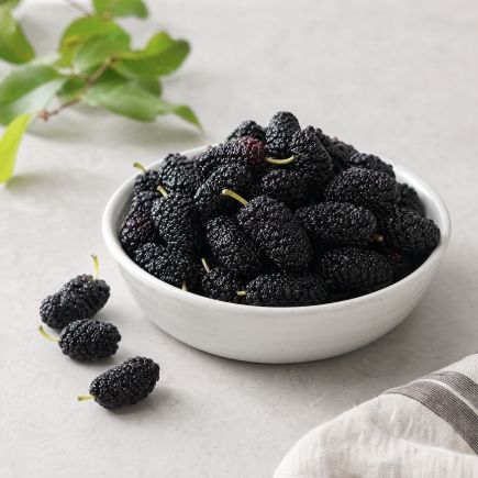 26 햇 지리산 산청 씻어나온 버블 오디 1kg*4팩