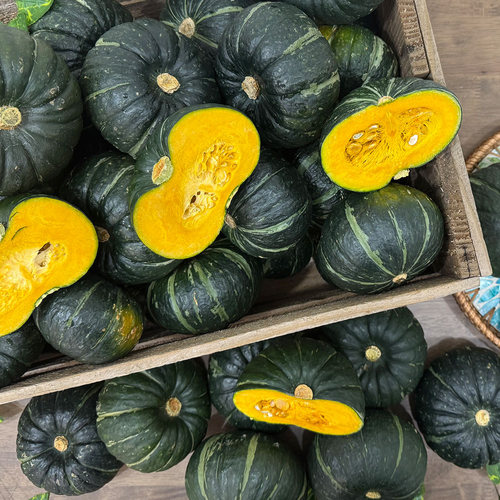 [제주 산지직송] 첫출하 26년 수확 햇 제주 보우짱 미니밤단호박 8kg