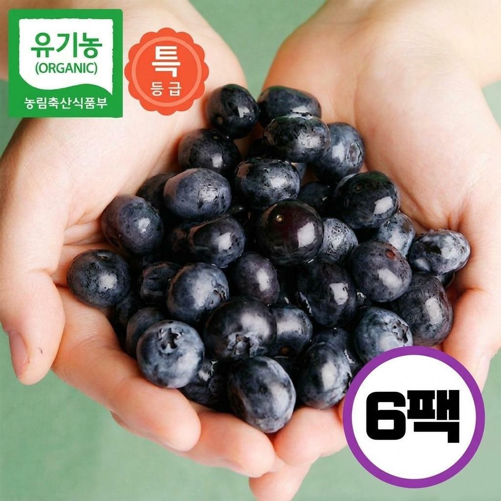 [카드 5%할인][특등급]국내산 유기농 생 블루베리 100g x 6팩(총 600g, 14-17mm)