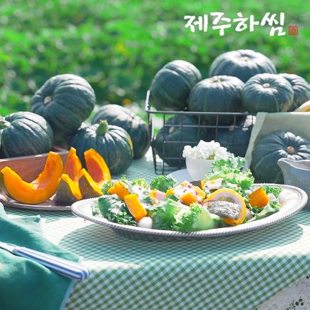 26년 햇 제주하씸 미니 밤단호박 8kg(보우짱) 4