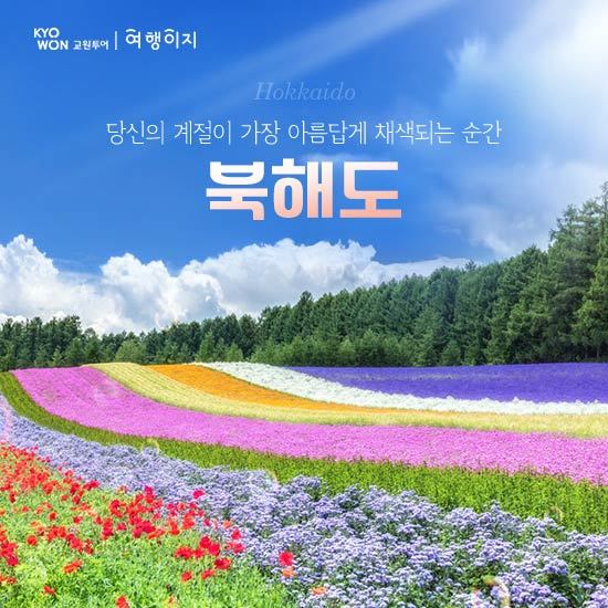 [방송에서만 8만원 상당 혜택 증정] 교원투어와 함께 떠나는 꽃과 낭만이 가득한 북해도