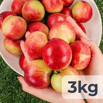 경산 세척 햇 신비복숭아 3kg