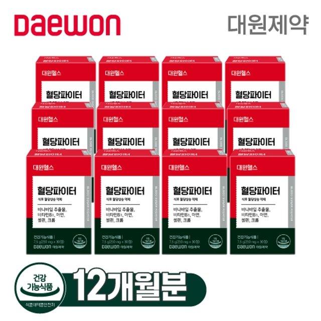 대원제약 혈당파이터 12박스