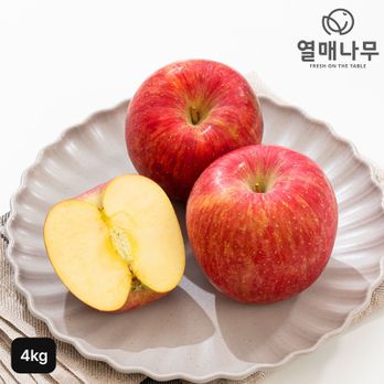 열매나무 못난이부사 사과 2kg+2kg