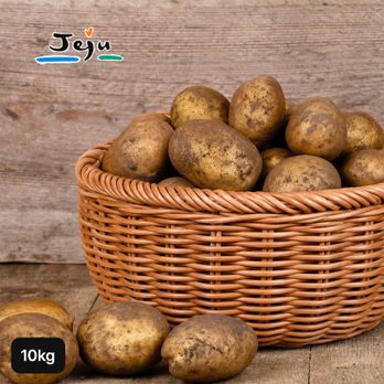 제주 햇 감자 10kg