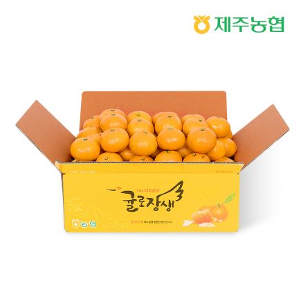 2026 귤로장생 하우스 감귤 3kg(과당 53g~123g)